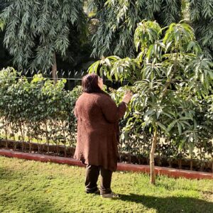 nature-05
